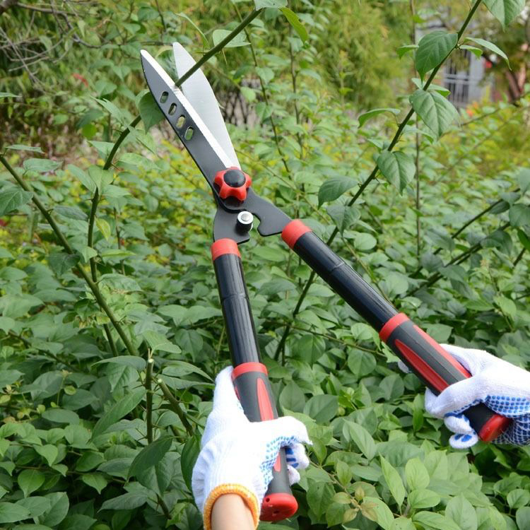 Manual Green Hedge Shears Introduction